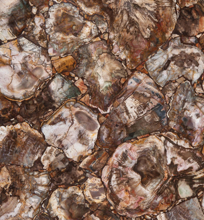 Petrified Wood Retro